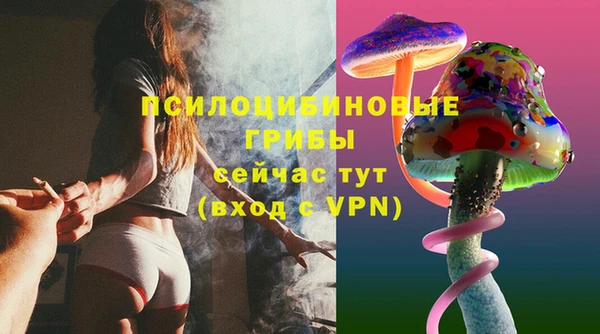 таблы Богданович